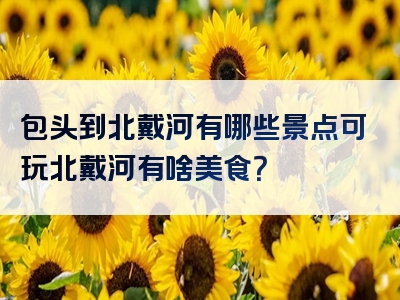 包头到北戴河有哪些景点可玩北戴河有啥美食？