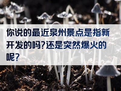 你说的最近泉州景点是指新开发的吗？还是突然爆火的呢？