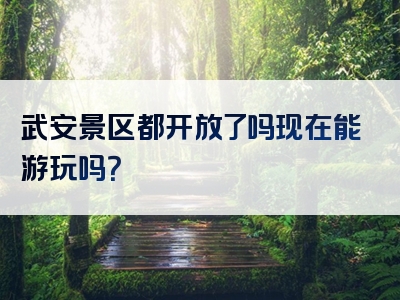 武安景区都开放了吗现在能游玩吗？