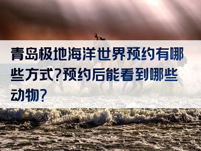 青岛极地海洋世界预约有哪些方式？预约后能看到哪些动物？