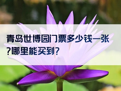 青岛世博园门票多少钱一张？哪里能买到？