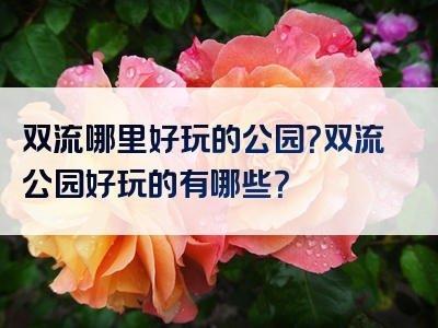 双流哪里好玩的公园？双流公园好玩的有哪些？
