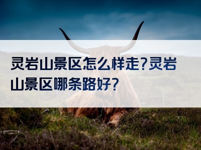 灵岩山景区怎么样走？灵岩山景区哪条路好？