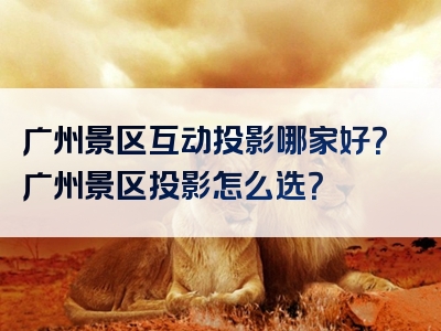 广州景区互动投影哪家好？广州景区投影怎么选？