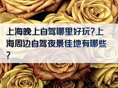 上海晚上自驾哪里好玩？上海周边自驾夜景佳地有哪些？