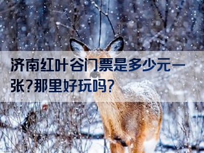 济南红叶谷门票是多少元一张？那里好玩吗？
