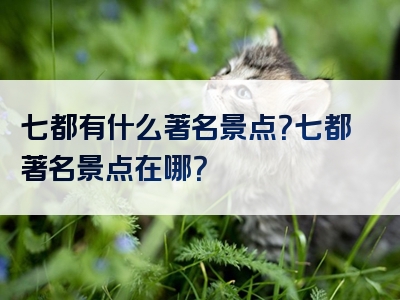七都有什么著名景点？七都著名景点在哪？