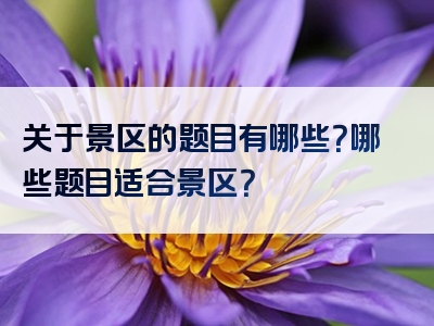关于景区的题目有哪些？哪些题目适合景区？