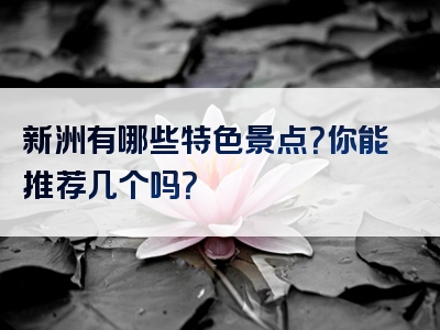 新洲有哪些特色景点？你能推荐几个吗？