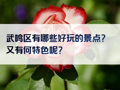武鸣区有哪些好玩的景点？又有何特色呢？
