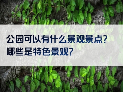 公园可以有什么景观景点？哪些是特色景观？