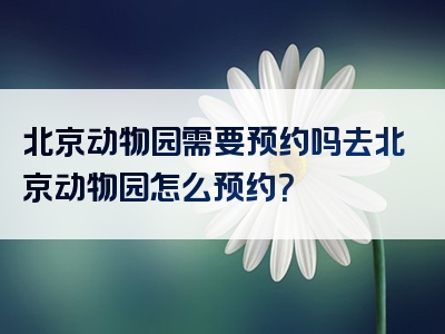 北京动物园需要预约吗去北京动物园怎么预约？