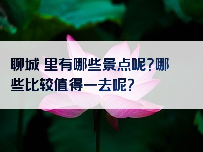 聊城巿里有哪些景点呢？哪些比较值得一去呢？