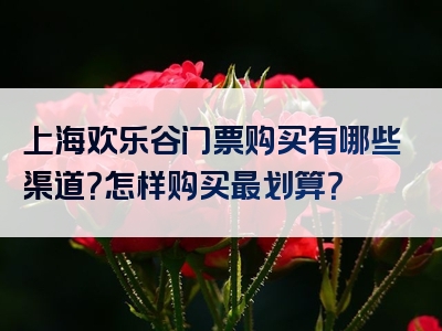 上海欢乐谷门票购买有哪些渠道？怎样购买最划算？