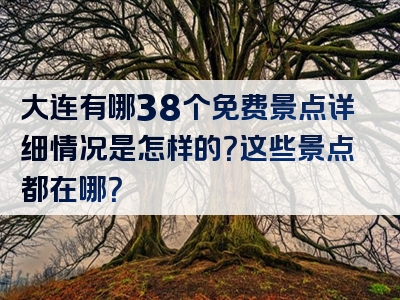 大连有哪38个免费景点详细情况是怎样的？这些景点都在哪？