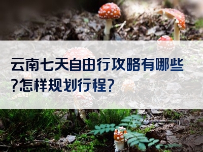 云南七天自由行攻略有哪些？怎样规划行程？