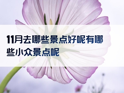 11月去哪些景点好呢有哪些小众景点呢