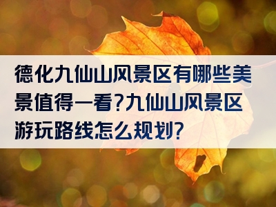 德化九仙山风景区有哪些美景值得一看？九仙山风景区游玩路线怎么规划？