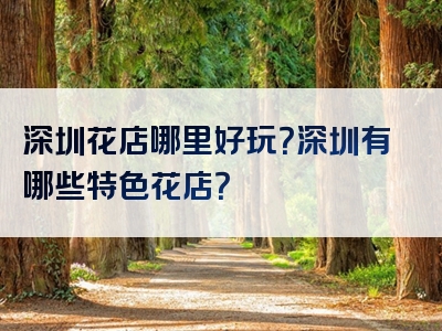 深圳花店哪里好玩？深圳有哪些特色花店？