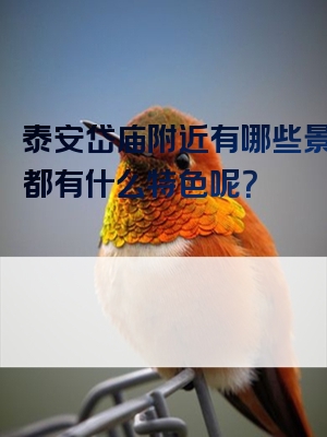 泰安岱庙附近有哪些景点？都有什么特色呢？