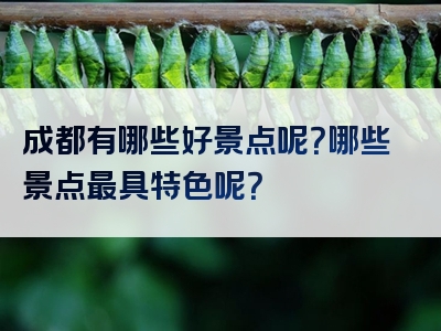 成都有哪些好景点呢？哪些景点最具特色呢？