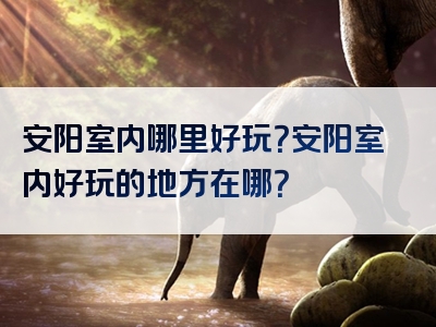 安阳室内哪里好玩？安阳室内好玩的地方在哪？