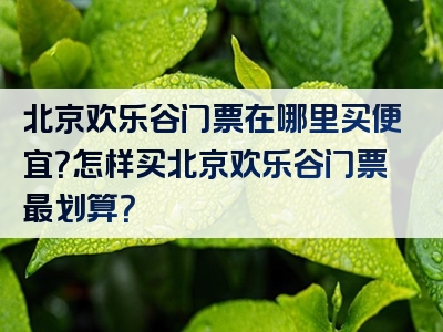 北京欢乐谷门票在哪里买便宜？怎样买北京欢乐谷门票最划算？