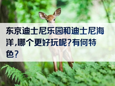 东京迪士尼乐园和迪士尼海洋，哪个更好玩呢？有何特色？