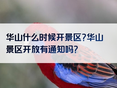 华山什么时候开景区？华山景区开放有通知吗？