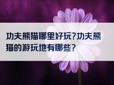 功夫熊猫哪里好玩？功夫熊猫的游玩地有哪些？