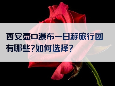 西安壶口瀑布一日游旅行团有哪些？如何选择？
