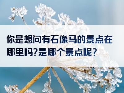 你是想问有石像马的景点在哪里吗？是哪个景点呢？