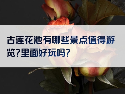 古莲花池有哪些景点值得游览？里面好玩吗？