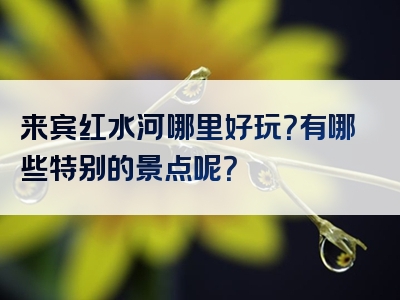来宾红水河哪里好玩？有哪些特别的景点呢？