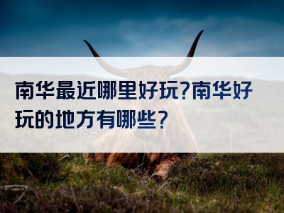南华最近哪里好玩？南华好玩的地方有哪些？