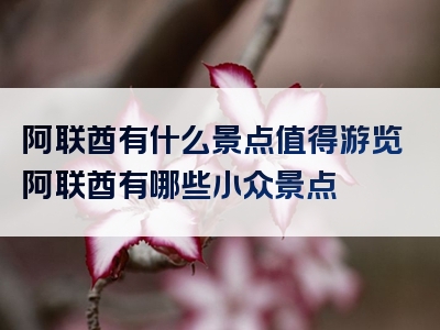 阿联酋有什么景点值得游览阿联酋有哪些小众景点