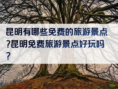 昆明有哪些免费的旅游景点？昆明免费旅游景点好玩吗？