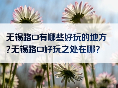 无锡路口有哪些好玩的地方？无锡路口好玩之处在哪？