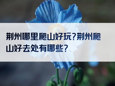 荆州哪里爬山好玩？荆州爬山好去处有哪些？