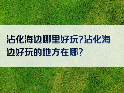 沾化海边哪里好玩？沾化海边好玩的地方在哪？