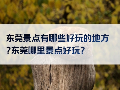 东莞景点有哪些好玩的地方？东莞哪里景点好玩？