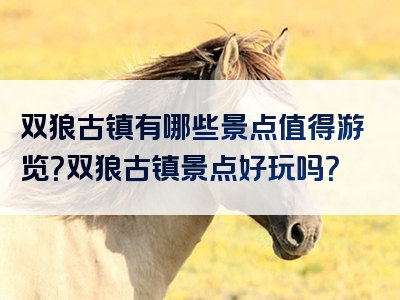 双狼古镇有哪些景点值得游览？双狼古镇景点好玩吗？