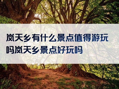 岚天乡有什么景点值得游玩吗岚天乡景点好玩吗