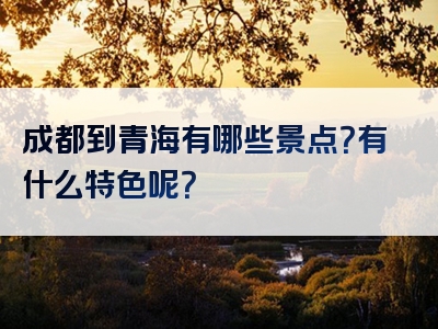 成都到青海有哪些景点？有什么特色呢？