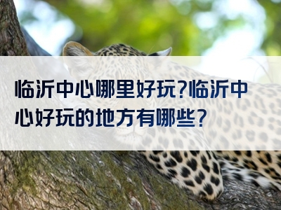 临沂中心哪里好玩？临沂中心好玩的地方有哪些？
