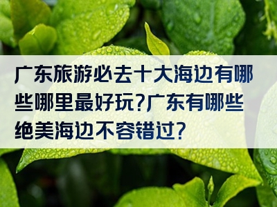 广东旅游必去十大海边有哪些哪里最好玩？广东有哪些绝美海边不容错过？