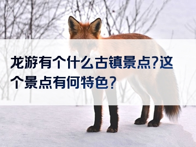 龙游有个什么古镇景点？这个景点有何特色？