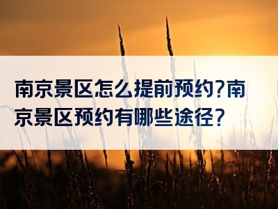 南京景区怎么提前预约？南京景区预约有哪些途径？