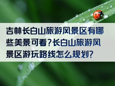 吉林长白山旅游风景区有哪些美景可看？长白山旅游风景区游玩路线怎么规划？