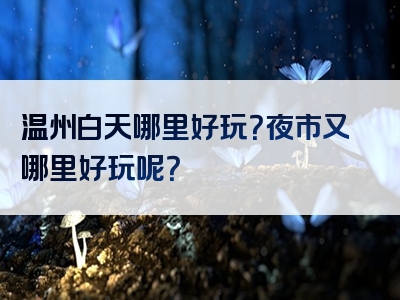 温州白天哪里好玩？夜市又哪里好玩呢？